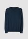 Blue Cotton Jumper, Regular Fit_4