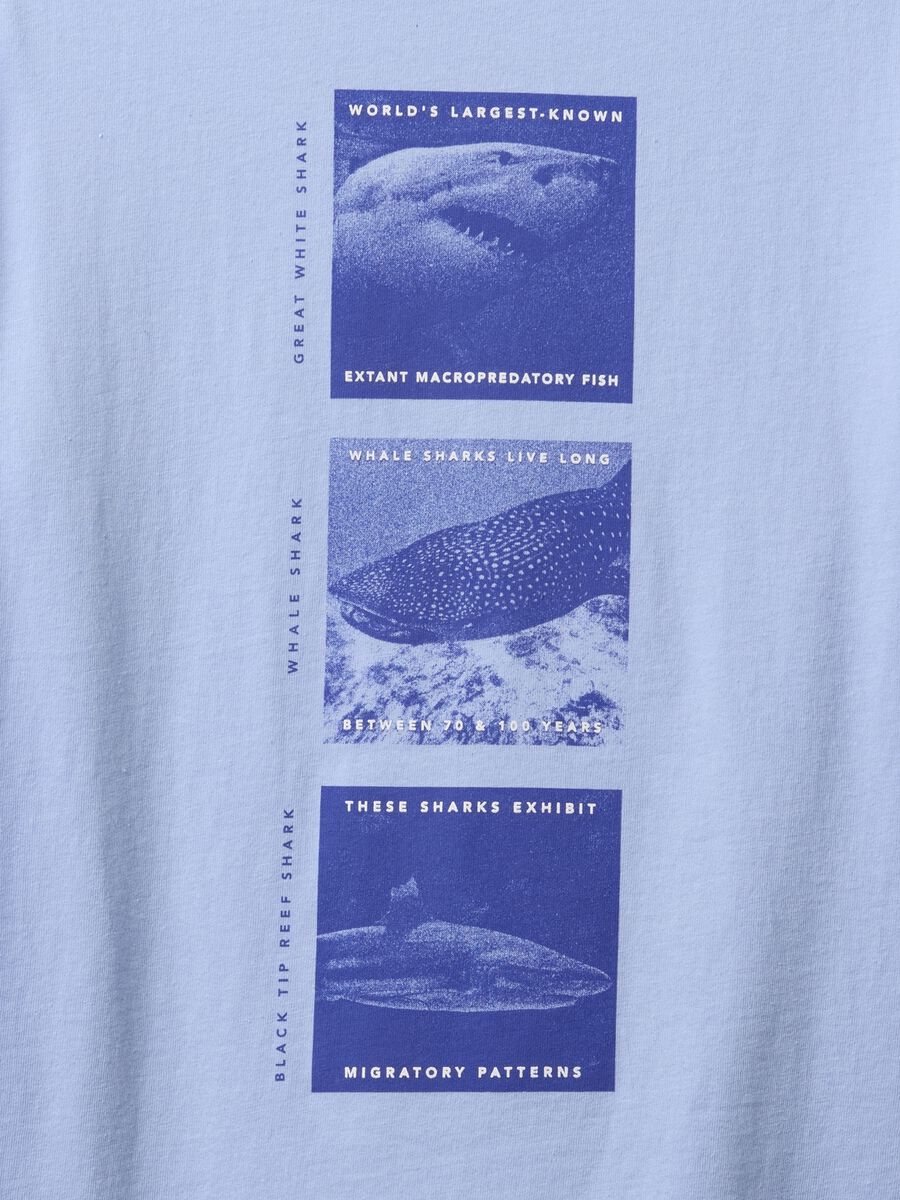 Blue T-shirt with shark print_1