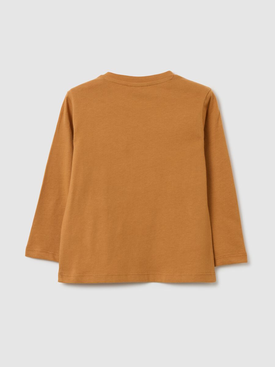 Children's Brown Pure Cotton Regular Fit Jumper_1