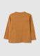 Children's Brown Pure Cotton Regular Fit Jumper_1