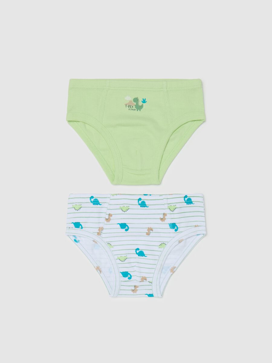Two-pack cotton briefs with dinosaurs print_0