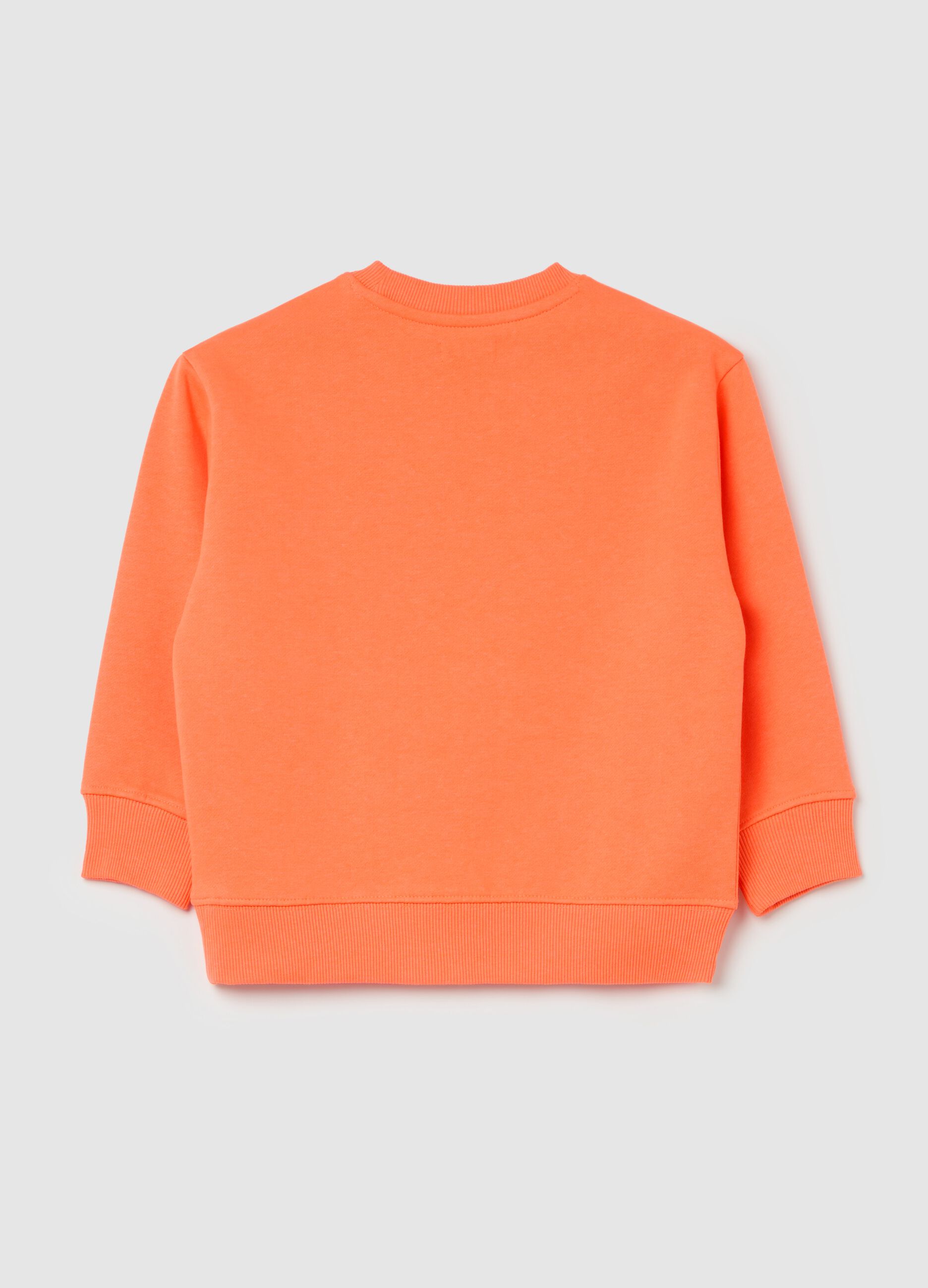 French Terry sweatshirt with college design print
