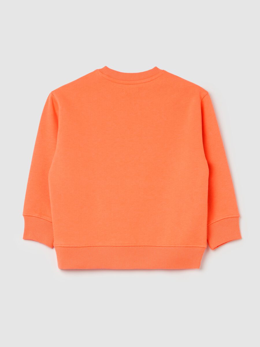 French Terry sweatshirt with college design print_4
