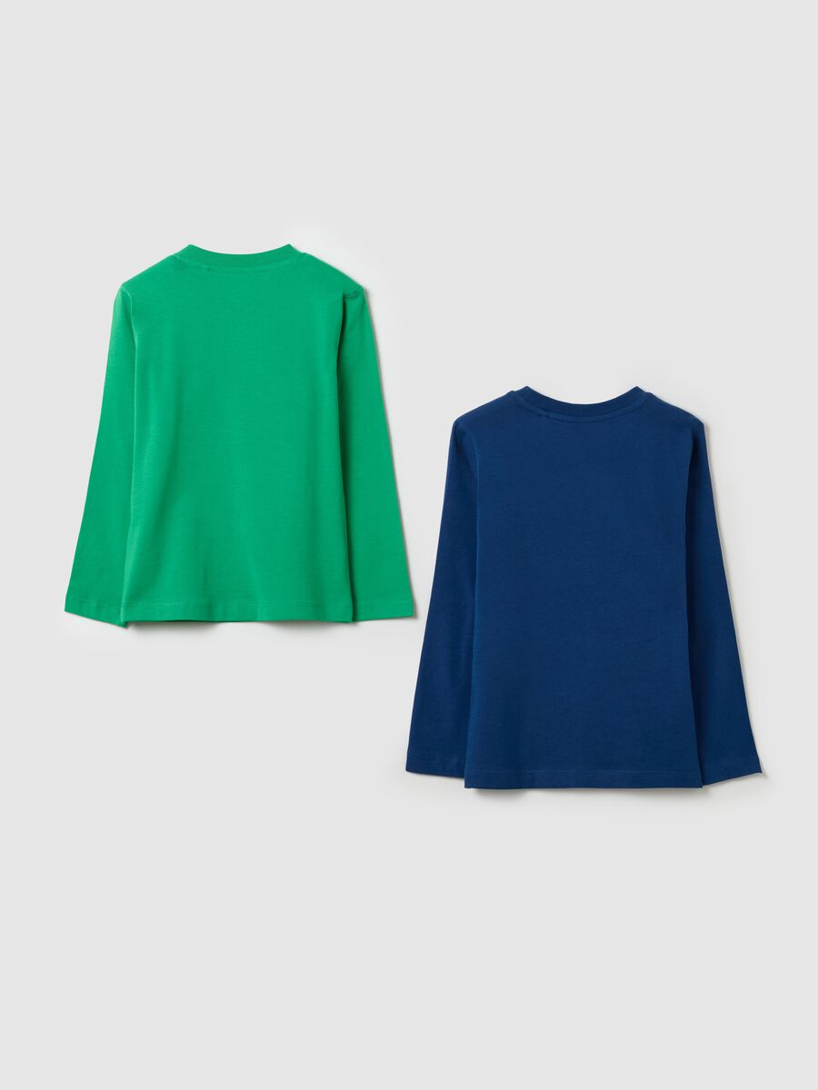 Two-pack long-sleeved T-shirts in cotton with print_1