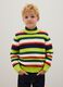 Boys' pure cotton multicolour regular fit jumper_0
