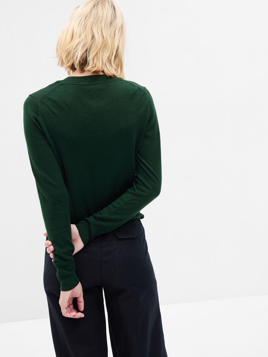 Pullover in lana merino con scollo rotondo_1