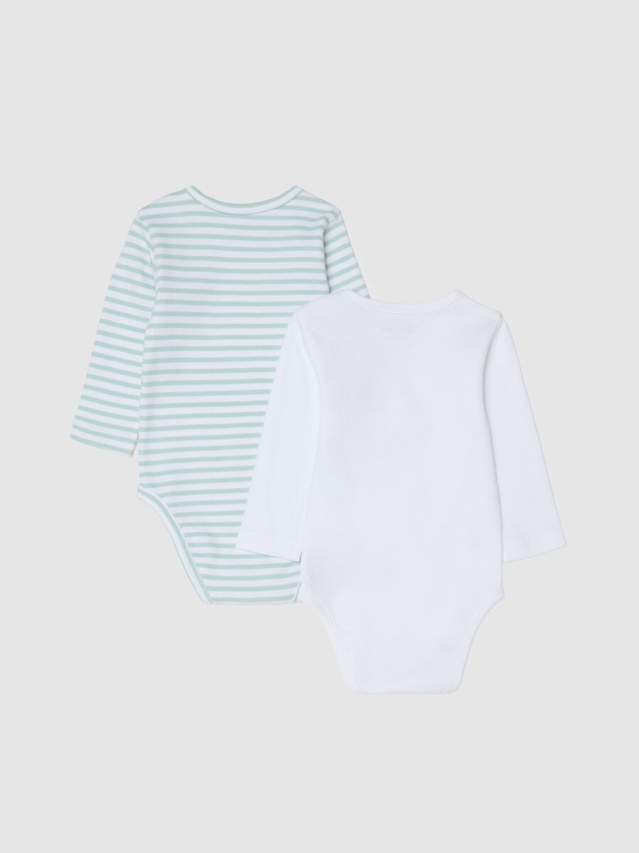 Multicolour pure cotton newborn bodysuit duo pack_1