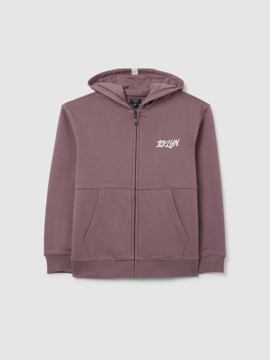 Boys' Violet Regular Fit Stretch Cotton Blend Sweatshirt with Zip and Crew Neck_0