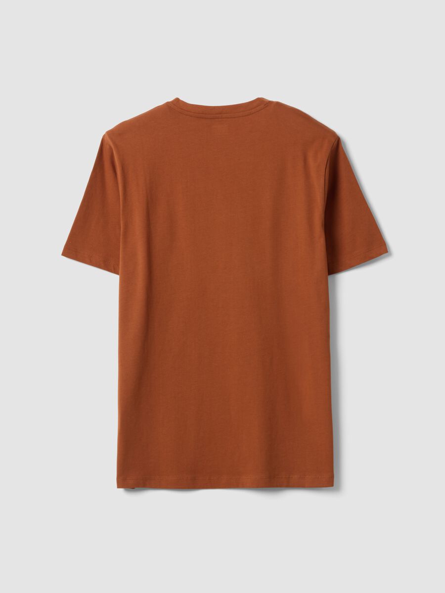 Brown regular-fit T-shirt in pure organic cotton jersey_5