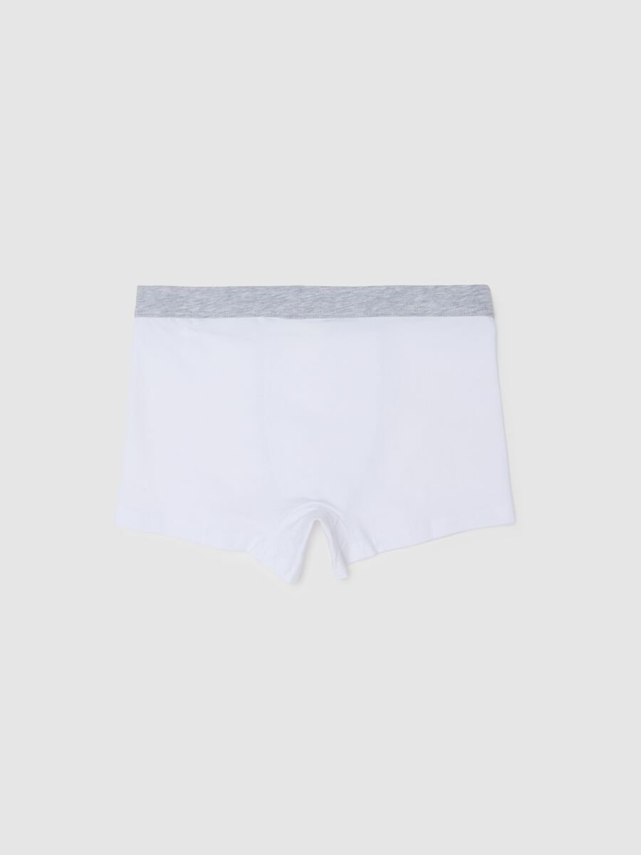 Multicolour cotton blend boys' boxers regular fit_1