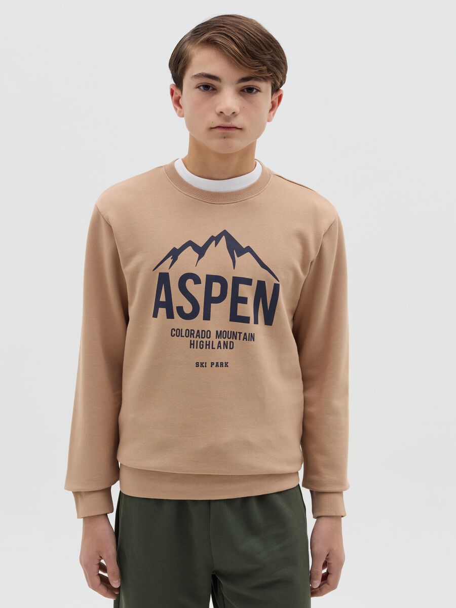 Sweatshirt with mountains print_0
