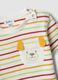 Boys&rsquo; pure cotton multicolour striped T-shirt with dog pocket_2