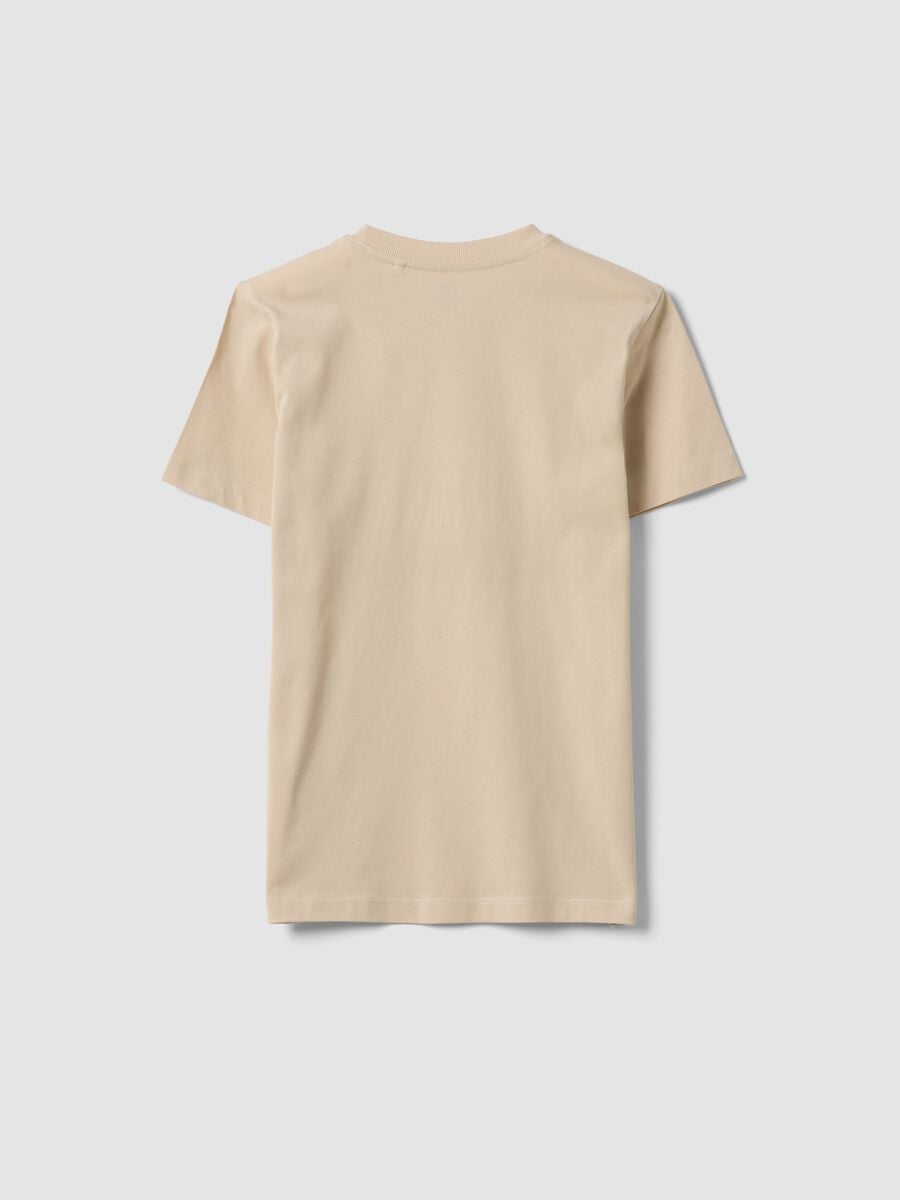 Beige pure cotton regular-fit boys&rsquo; T-shirt with prints_4