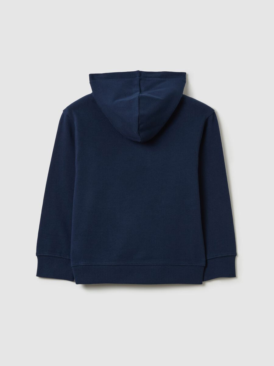 Sweatshirt with hood and "Jurassic Academy" print_1