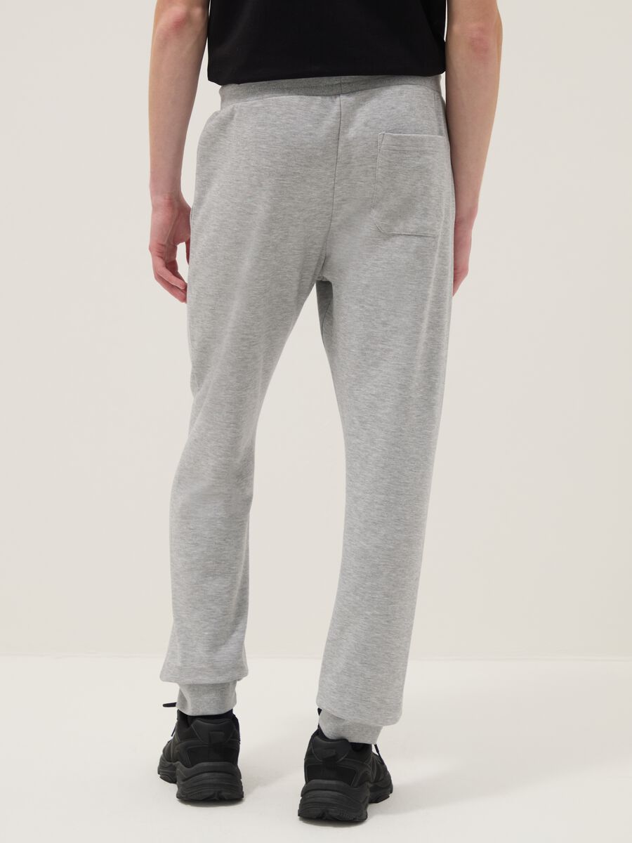 Grey cotton blend joggers regular fit with Everlast logo_2