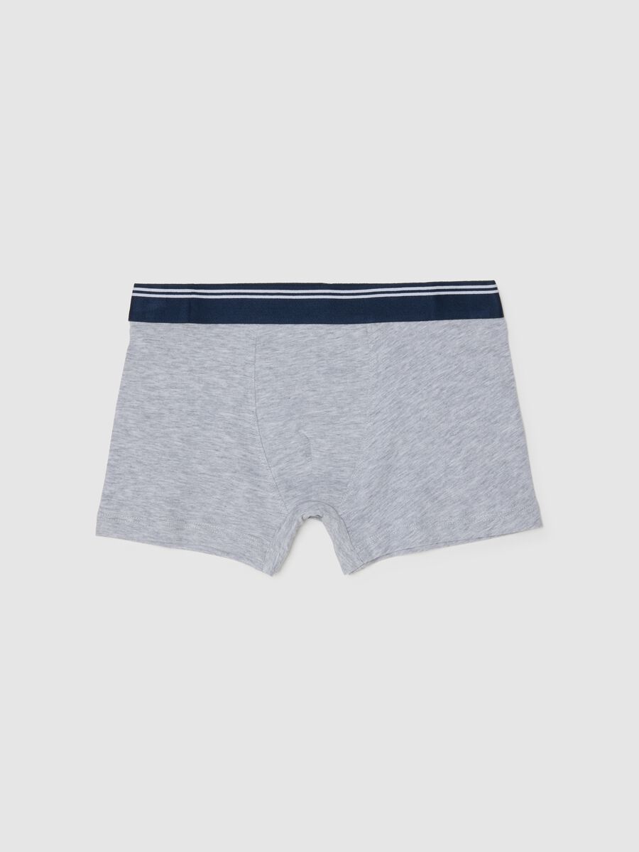 Multicolour boys' boxer briefs in stretch cotton regular fit_0