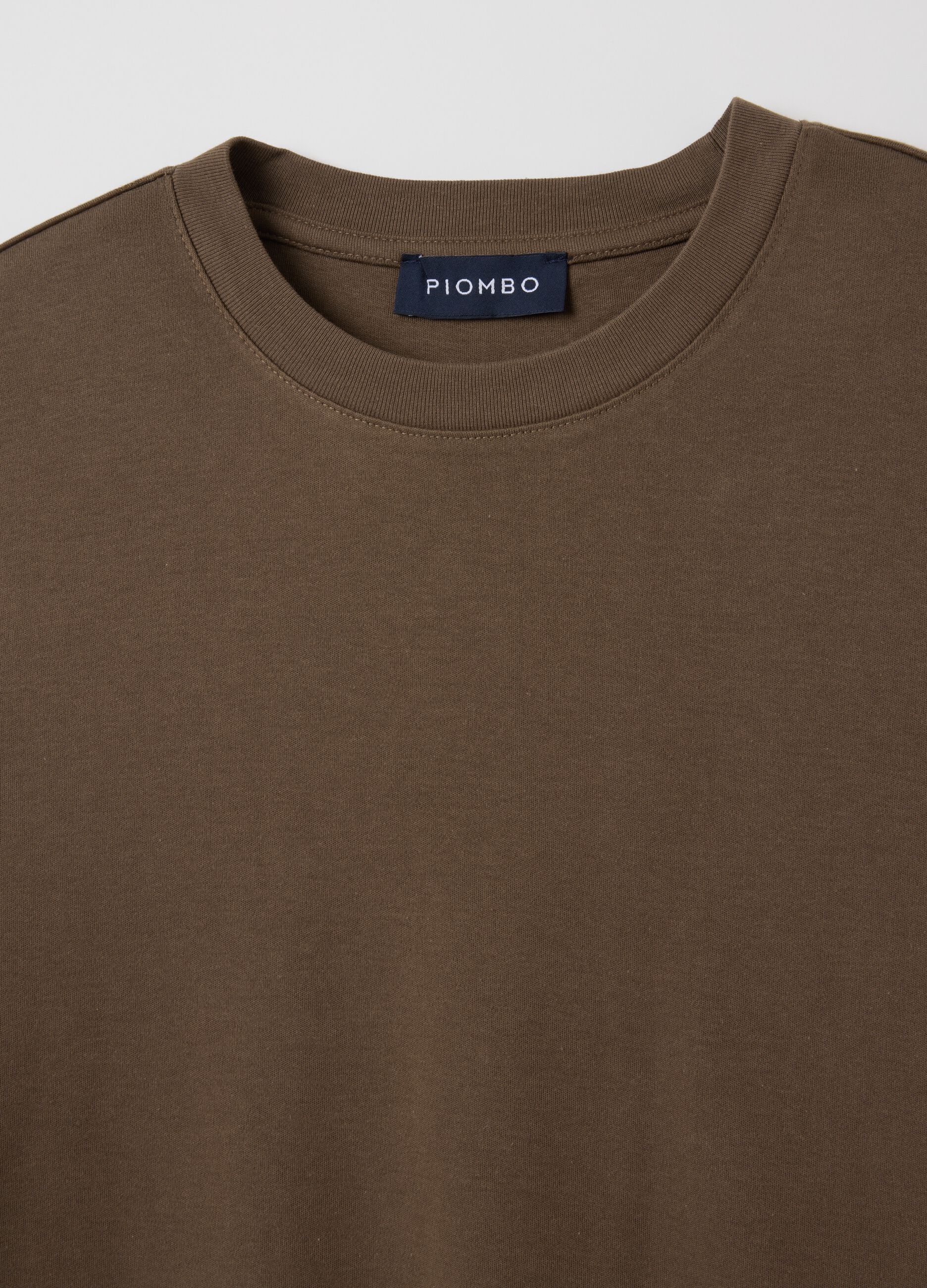 Regular Fit Brown Pure Cotton T-shirt