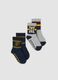 Bipack di calze antiscivolo midi in cotone organico elasticizzato Harry Potter_0