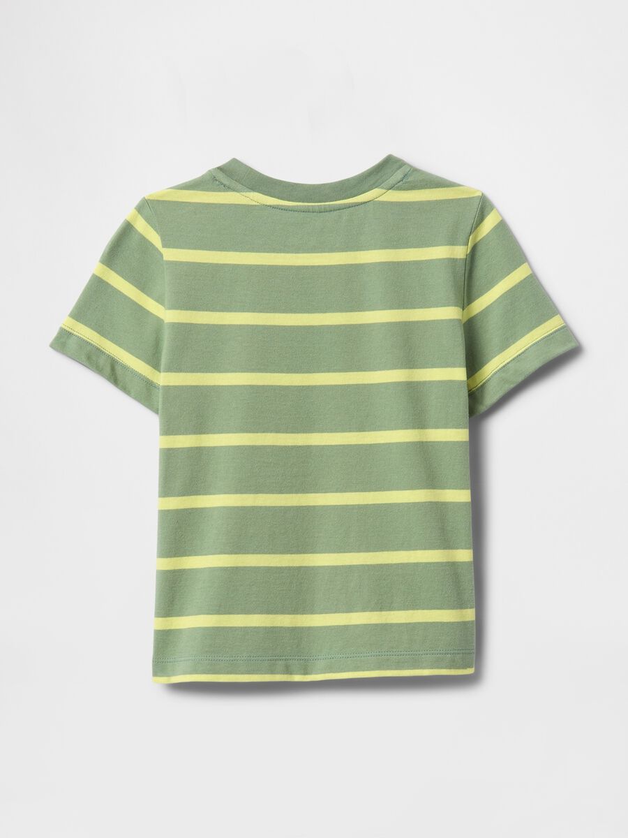 Green Striped T-Shirt_1