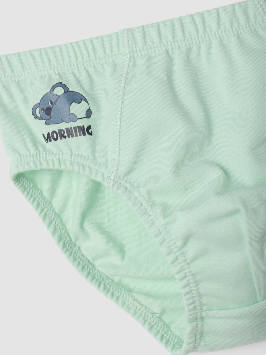 Multipack di cinque slip multicolor in puro cotone organico con fantasia koala_2