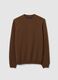 Brown crew neck pullover in pure lambswool regular fit_0