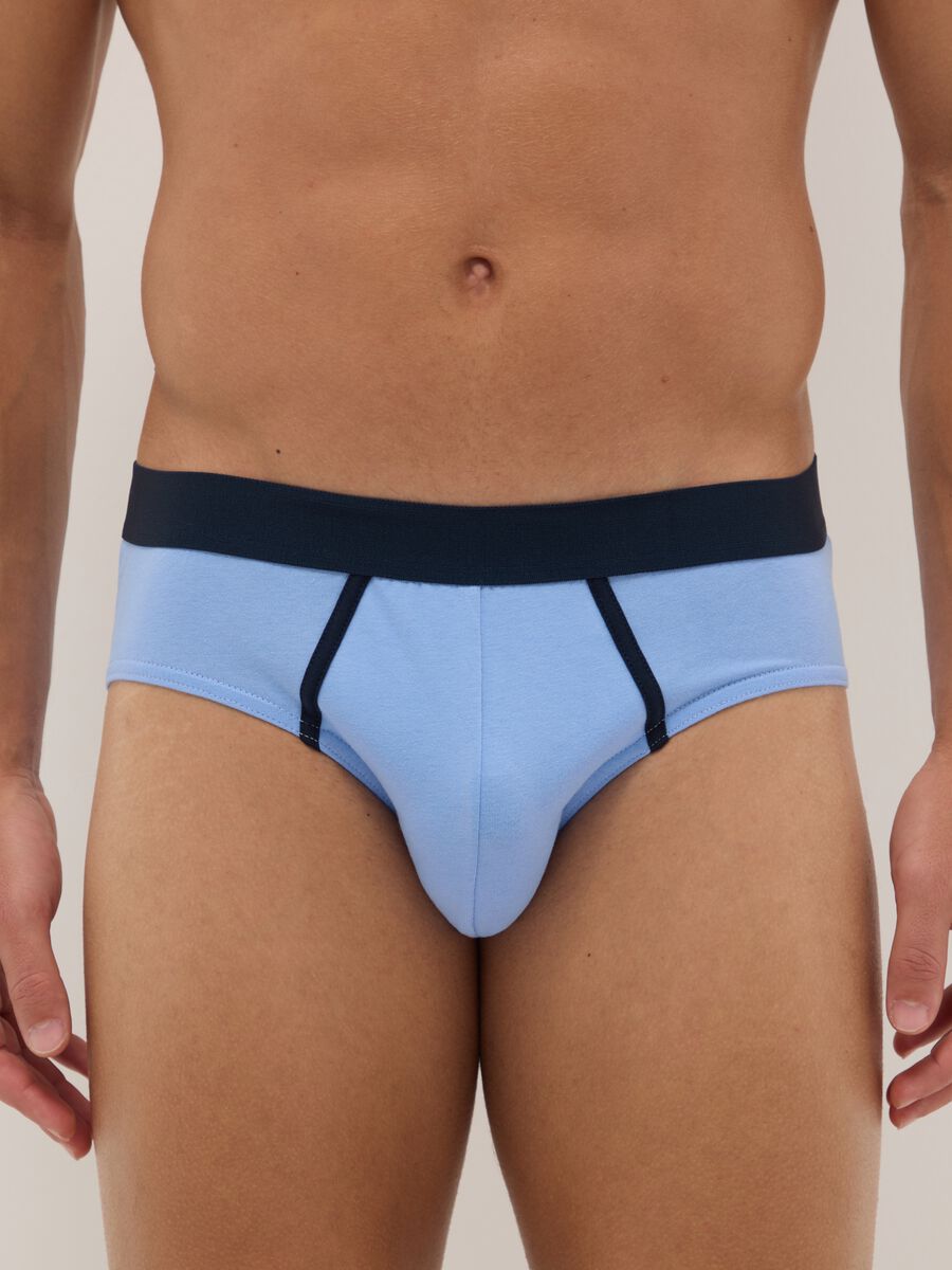 Multipack of multicolour stretchy cotton briefs in regular fit_1