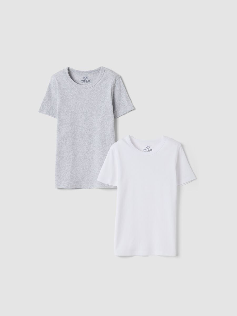 2-pack white and grey crew-neck T-shirts in pure organic cotton_0
