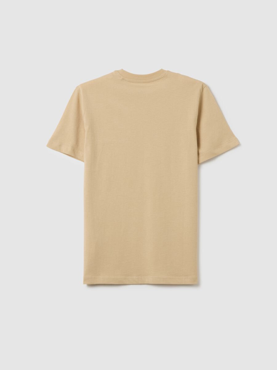 Boys' beige pure cotton regular fit t-shirt with print_4