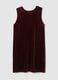 Red Velvet Sleeveless Slim Fit Dress_4