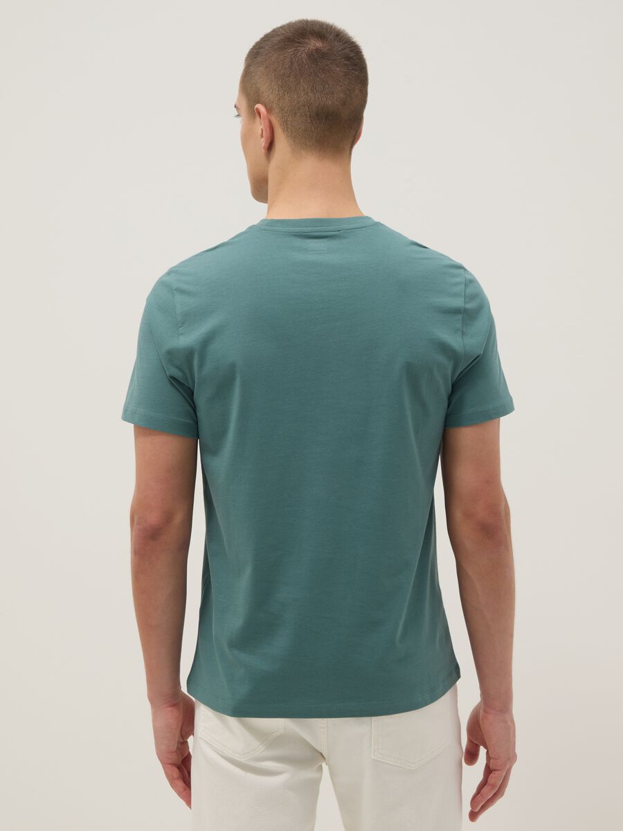 Green pure cotton V-neck regular fit T-shirt_3