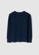 Children's regular fit blue crew neck pure cotton jumper_4
