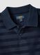 Regular fit blue striped pure cotton polo shirt for boys_3