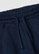 Boys' regular fit blue pure cotton jogger trousers_2