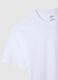White regular fit pure cotton t-shirt_5