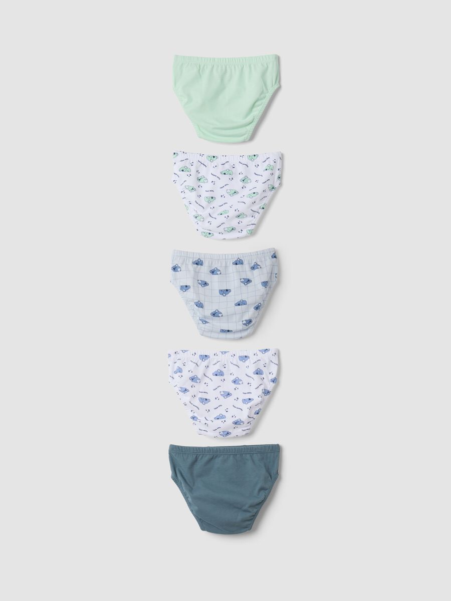 Multipack di cinque slip multicolor in puro cotone organico con fantasia koala_1