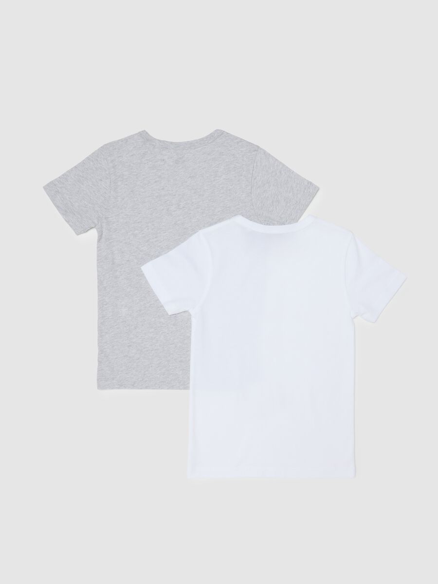 Multicolour regular fit pure cotton children's t-shirt twin pack_1