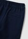 Boys' Blue Regular Fit Trousers_3