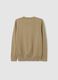 Boys' Pure Cotton Beige Sweater - Regular Fit_4
