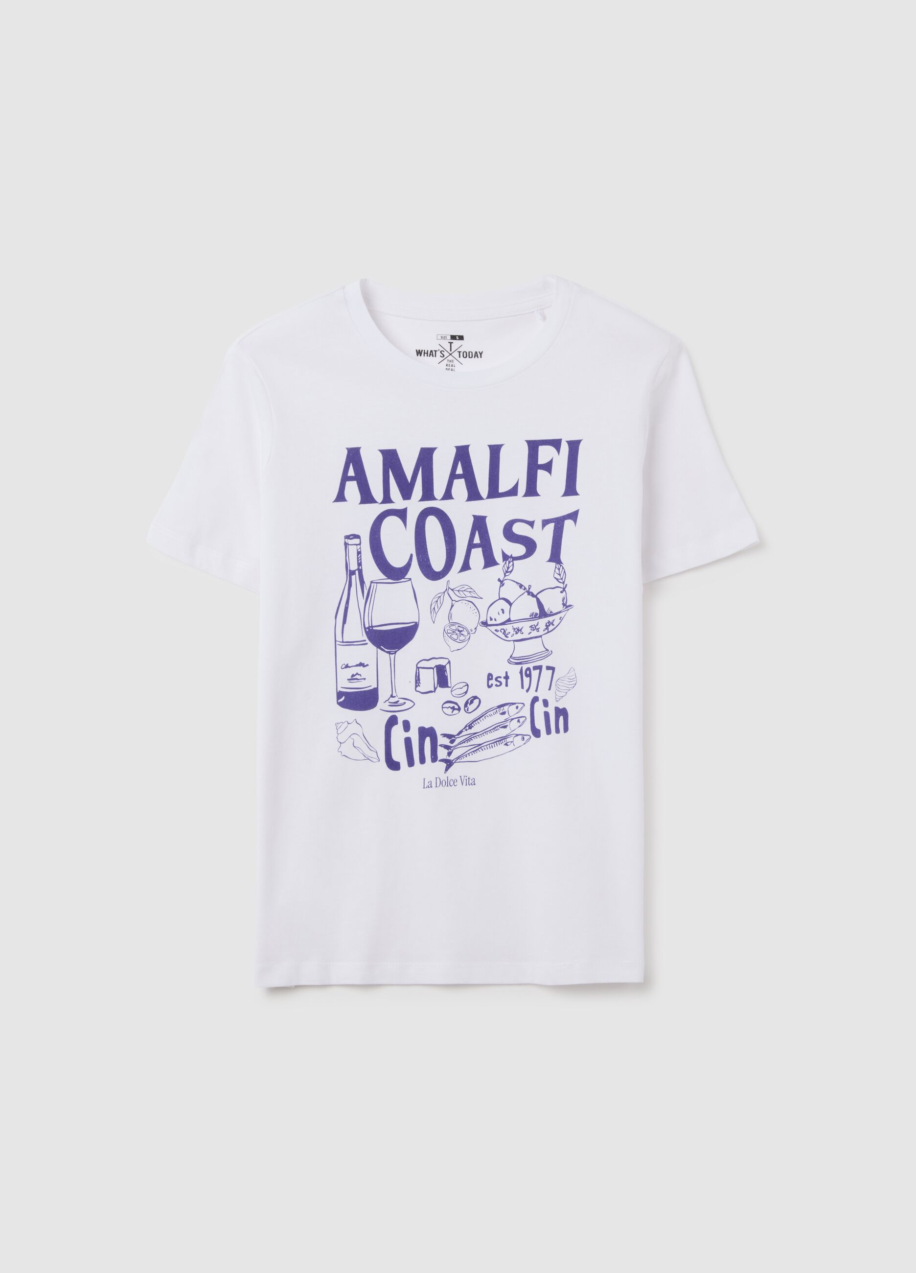 White regular fit pure cotton T-shirt