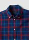 Blue checked Oxford shirt in pure cotton, regular fit_5