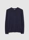 Regular Fit Blue Crewneck Jumper_4