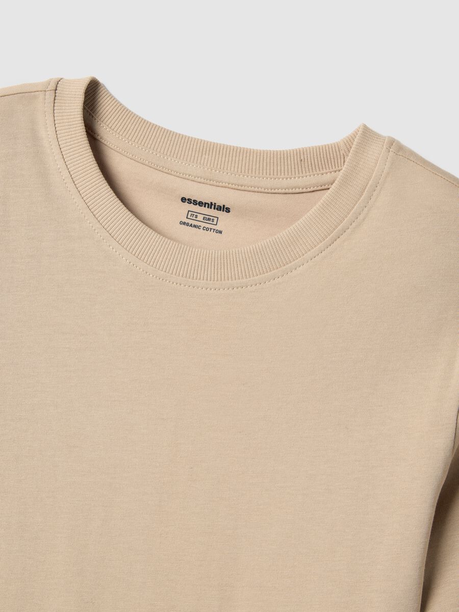 Beige pure cotton regular fit T-shirt_5