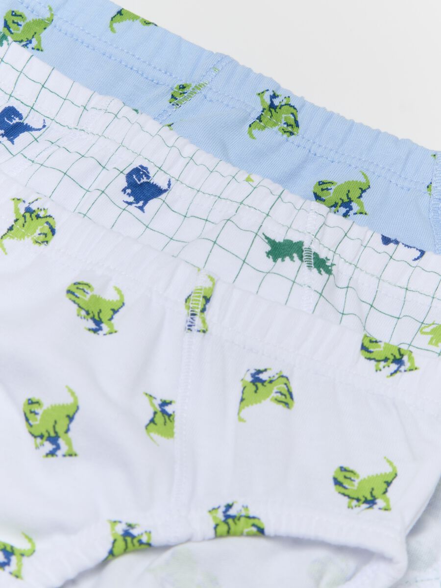 Five-pack cotton briefs with dinosaurs print_2