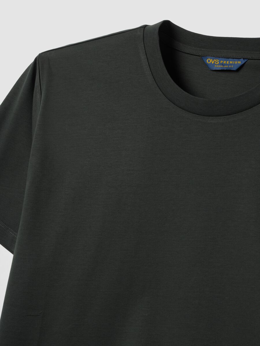 Grey mercerised pure cotton crew-neck T-shirt, regular fit_1
