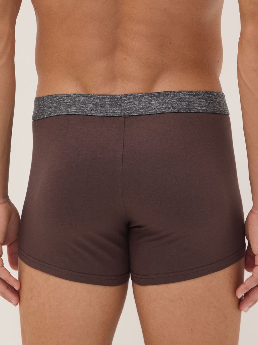Multipack di cinque boxer multicolor in cotone organico elasticizzato_2