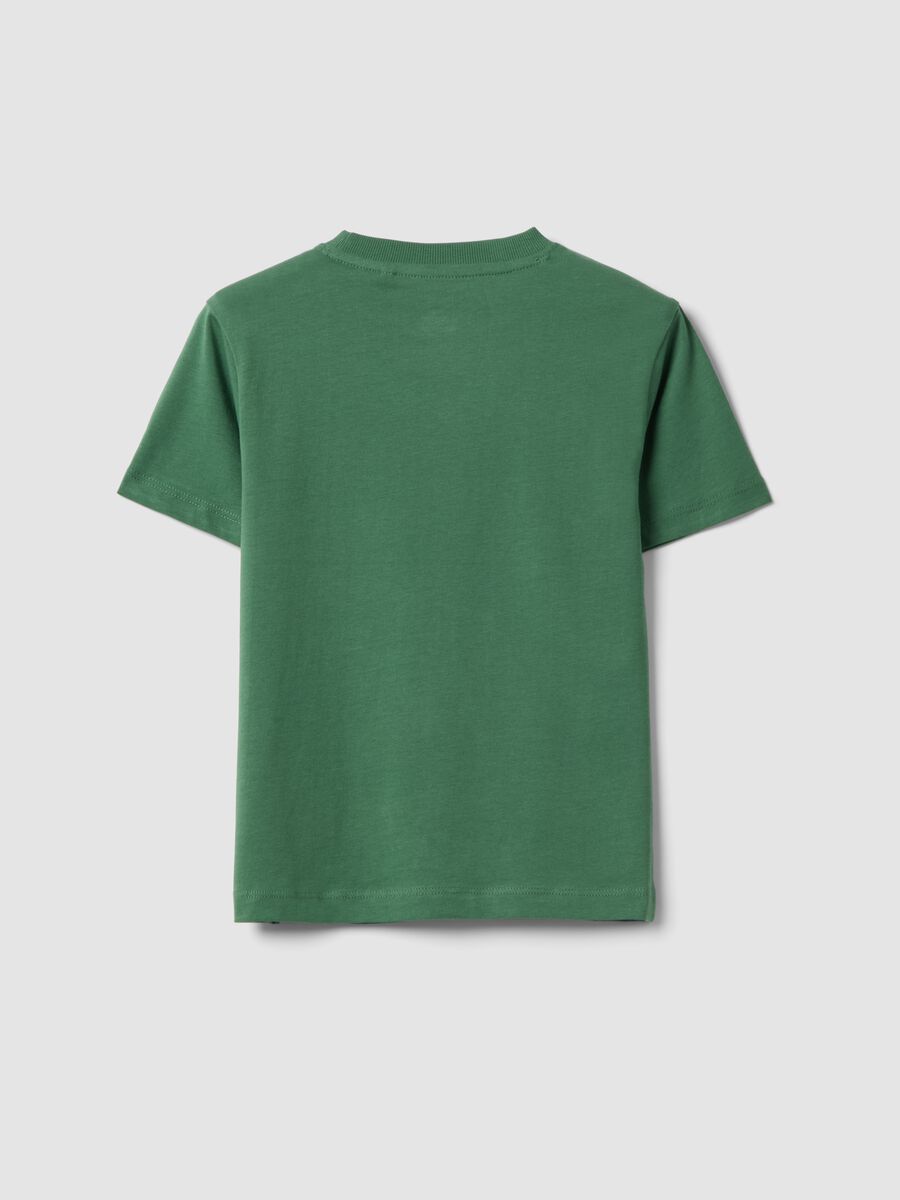 Multicolour striped pure cotton regular fit t-shirt for kids_1