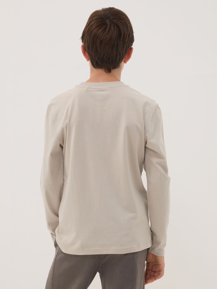 T-shirt grigia in puro cotone organico con stampa per ragazzo_2