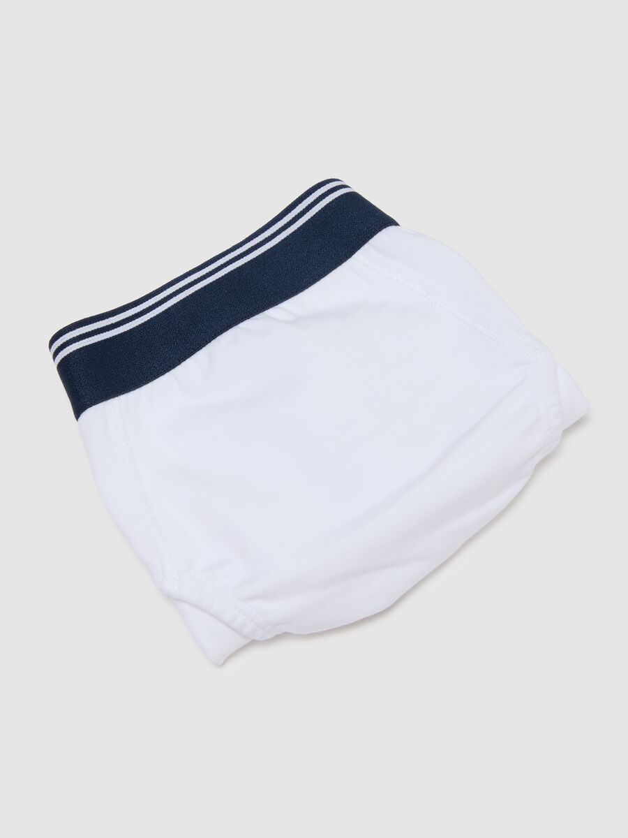 Multicolor Boys' Regular Fit Cotton Stretch Briefs_3