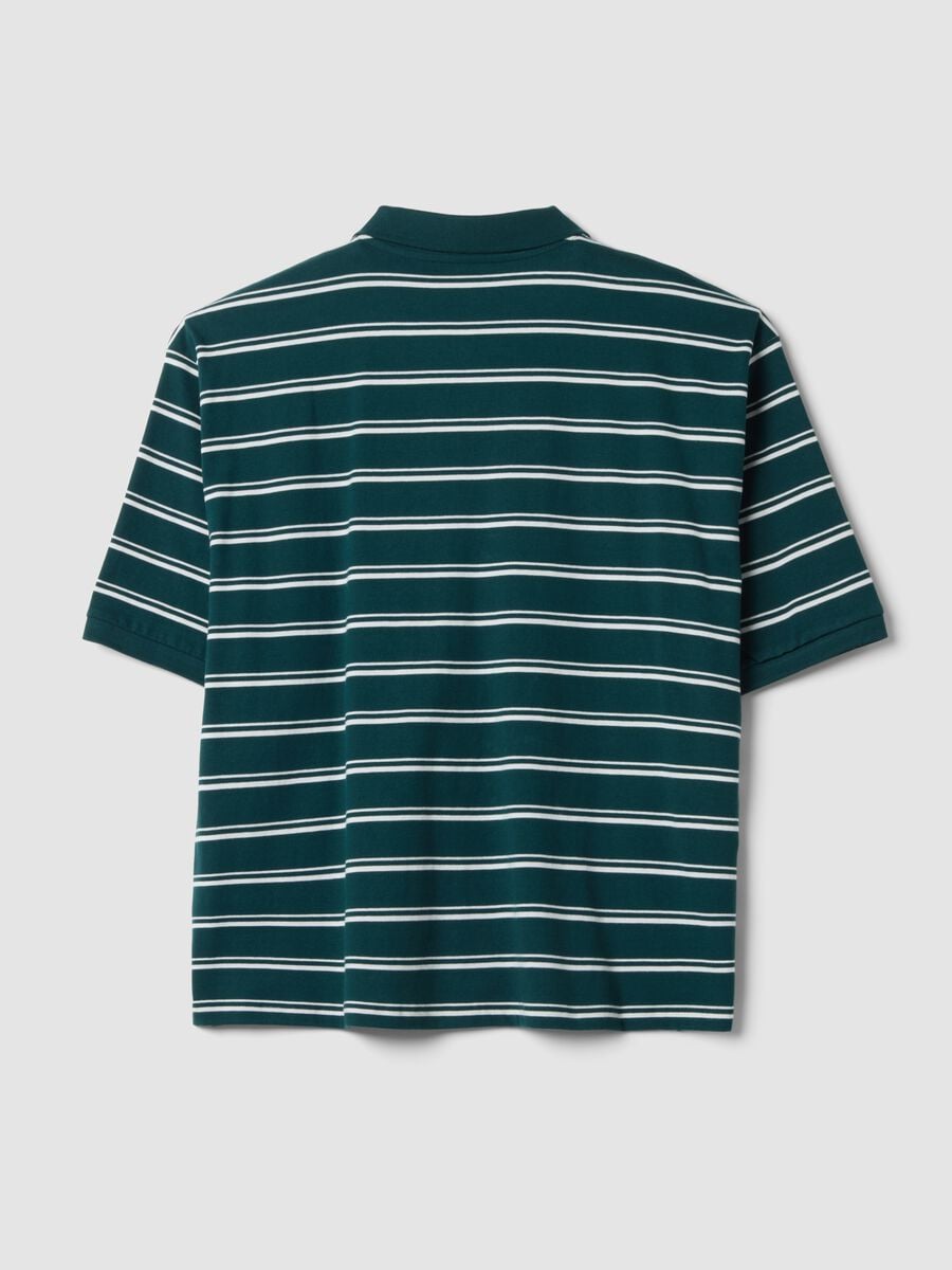 Polo verde in puro cotone a righe regular fit_6