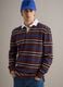 Multicolour striped long-sleeve polo in pure cotton, regular fit_0